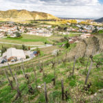 Thomas Farge - Photo 7