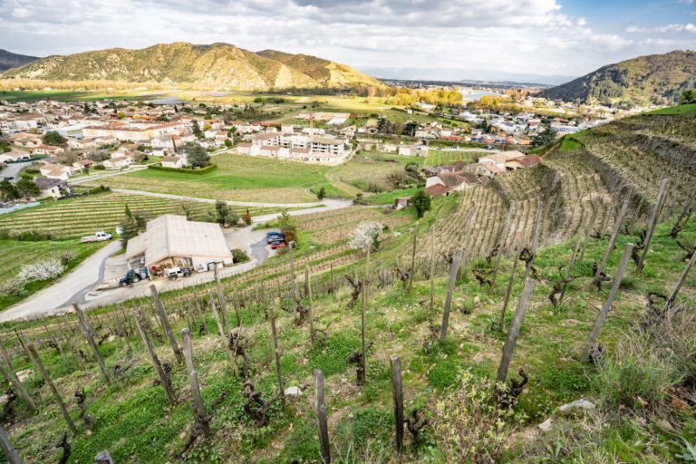 Thomas Farge - Photo 7