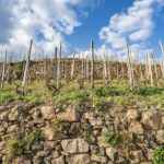 Thomas Farge - Photo 6