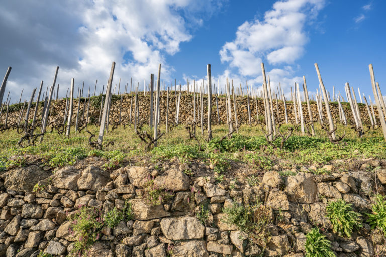 Thomas Farge - Photo 6