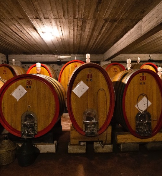 Winery, Passopisciaro - Sicily, Italy