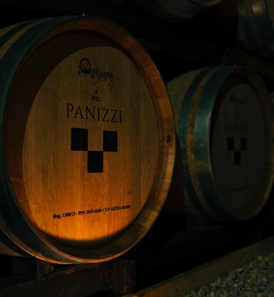 Barrels Wines Vernaccia di San Gimignano - Panizzi winery, Tuscany