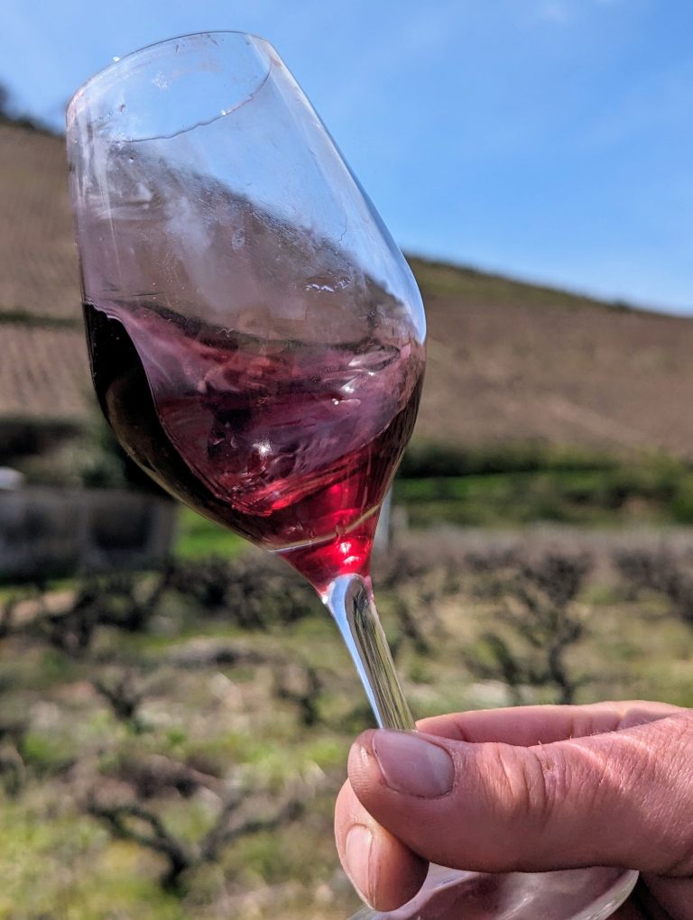 Domaine Azzara - Photo 5