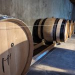 Domaine Azzara - Photo 2