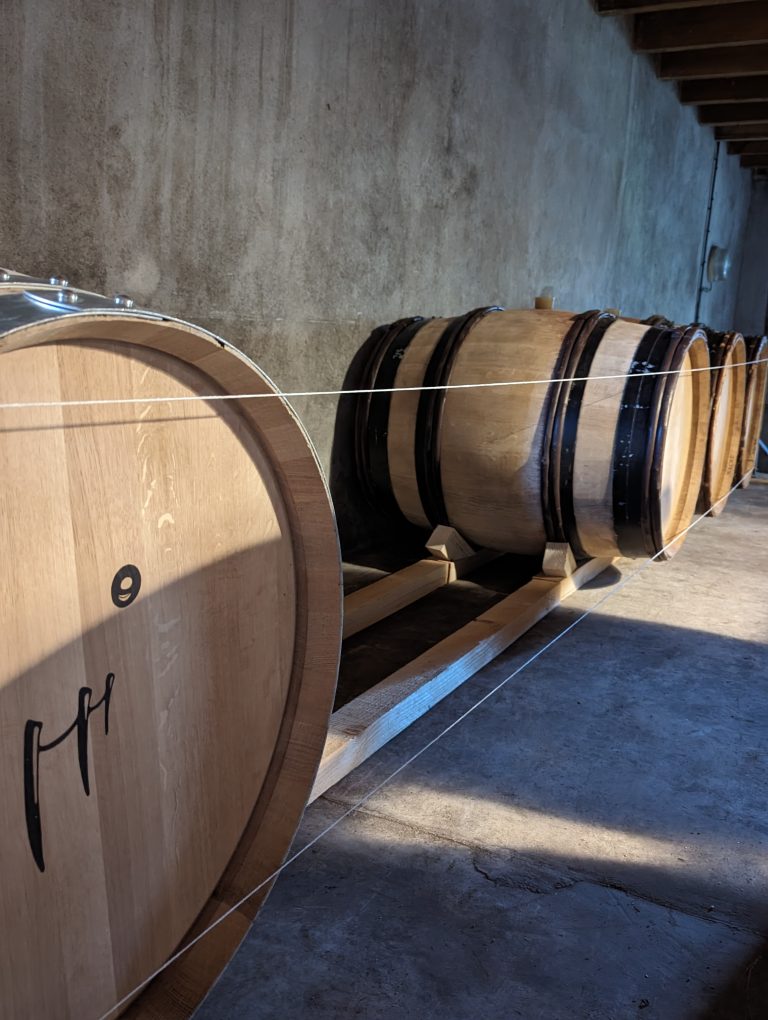 Domaine Azzara - Photo 2