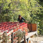Oddero - Photo 10