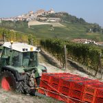 Oddero - Photo 7