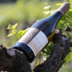 Domaine Daridan - Photo 5