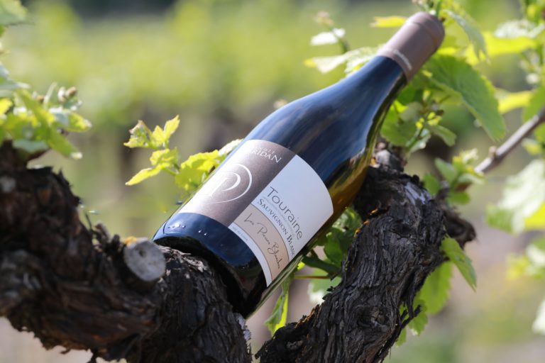 Domaine Daridan - Photo 5