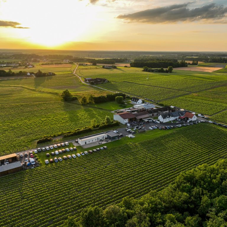 Domaine Daridan - Photo 3