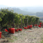 Cascina Tetti - Photo 2