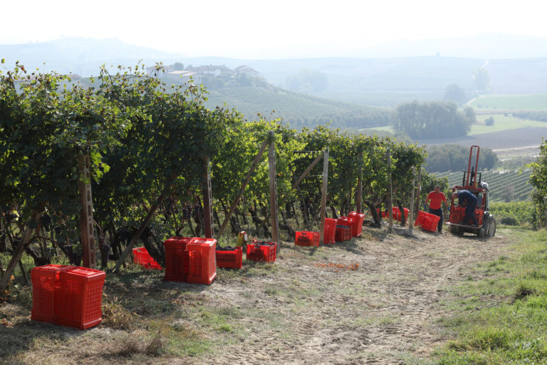 Cascina Tetti - Photo 2