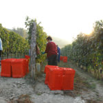 Cascina Tetti - Photo 4