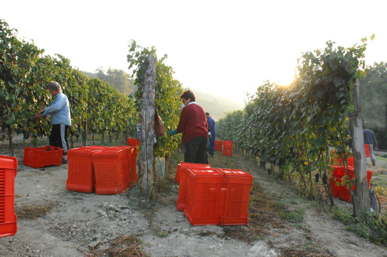 Cascina Tetti - Photo 4