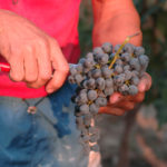 Cascina Tetti - Photo 1