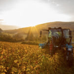 Domaine du Piton - Photo 4