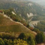 Ettore Germano - Photo 3