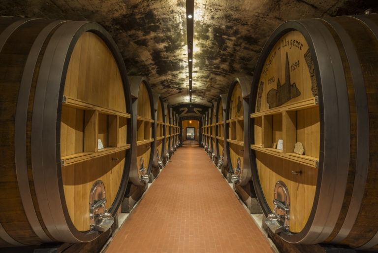 Cantina Terlano - Photo 2