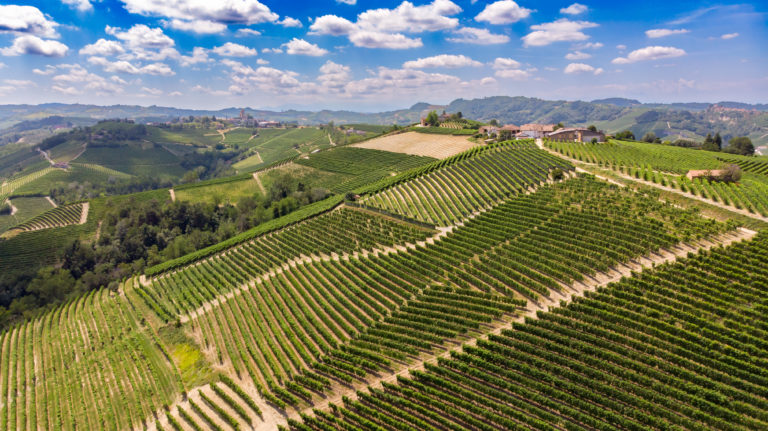 Ettore Germano - Photo 2