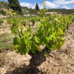 Creaciones Exeo - Photo 2