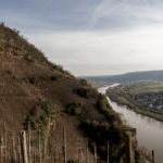Dr Hermann - Photo 5