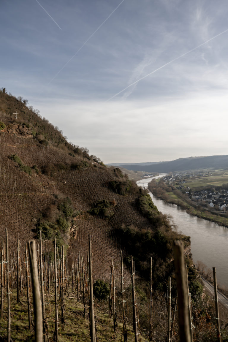 Dr Hermann - Photo 5